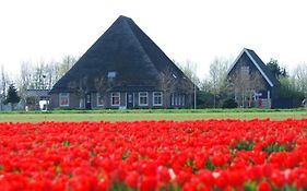 B&B Idylle Aan Zee Incl 2 Wellnessstudios